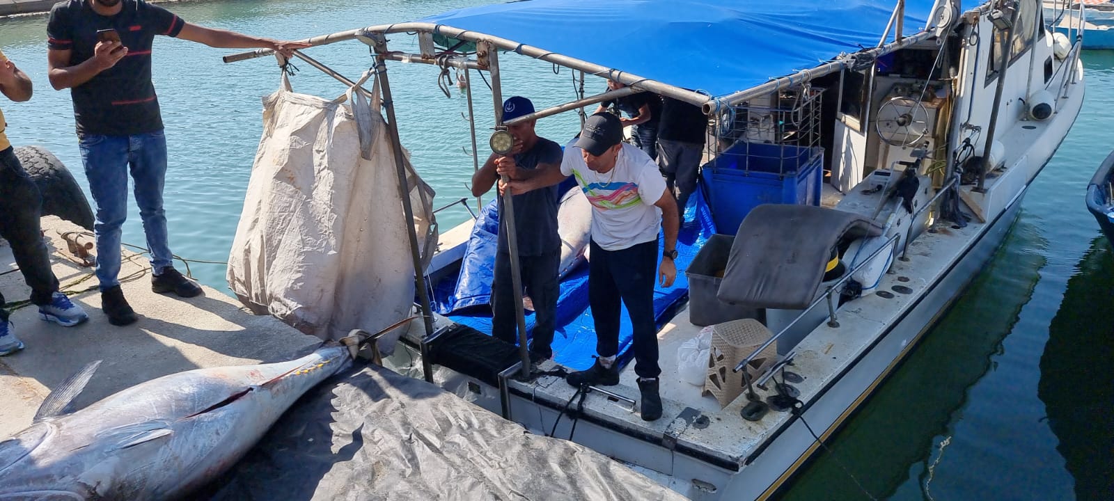 WhatsApp Image 2022-05-25 at 4.39.11 PM.jpeg